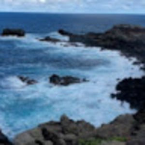 Meet your Posher, Ellie